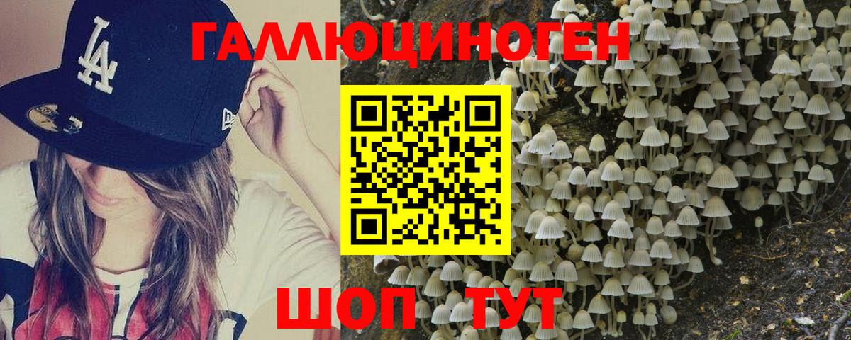 Галлюциногенные грибы мухоморы Жигулёвск
